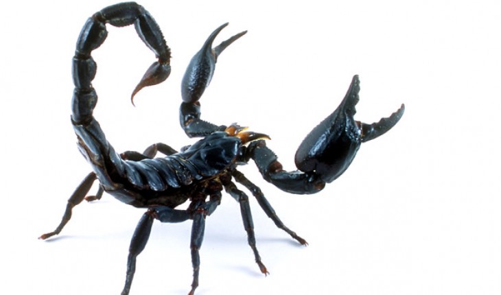 Oktober 2016 ~ Xenover